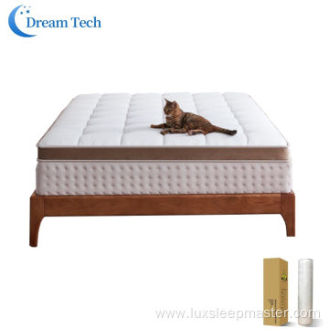 Professional Supply Simple Style Spring Pocket Mattress